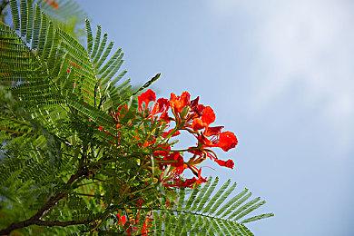 PS港服官方发布年度总结 送出会免游戏超1万港币